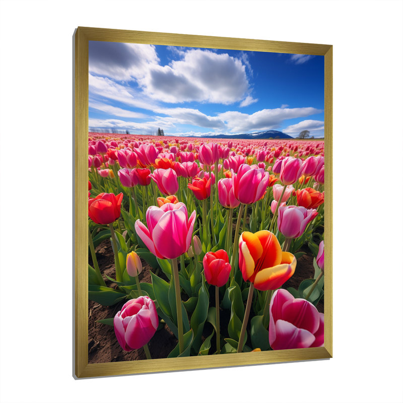 Symphonie de tulipes de Gaspey, Allemagne, H 20 po x l 12 po x P 1 po, Encadrement doré