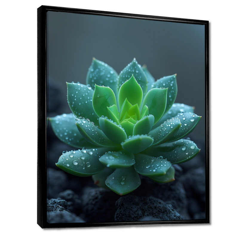 Gouttes de pluie vertes et grises sur un cactus du désert - décoration murale cactus floral, Toile avec cadre flottant noir