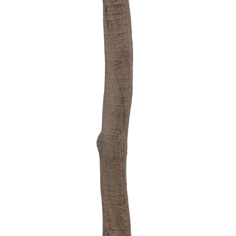 Faux Aralia Tree-Faux Aralia Tree-8', 94.5" H x 52" W