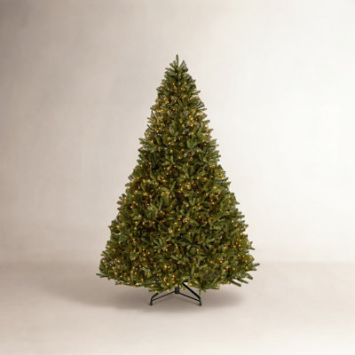 Jersey Fraser Fir Tree with Clear Lights