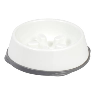 Stylish Porcelain White Bone Appetit Dog Bowls at Pet Stop Store