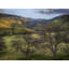 Cusp Of Spring Print by Harold Davis-65859136-65805656