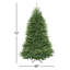 6 pi Sapin Dunhill