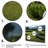 " Golf Precision Putt III "-972611212-972611200