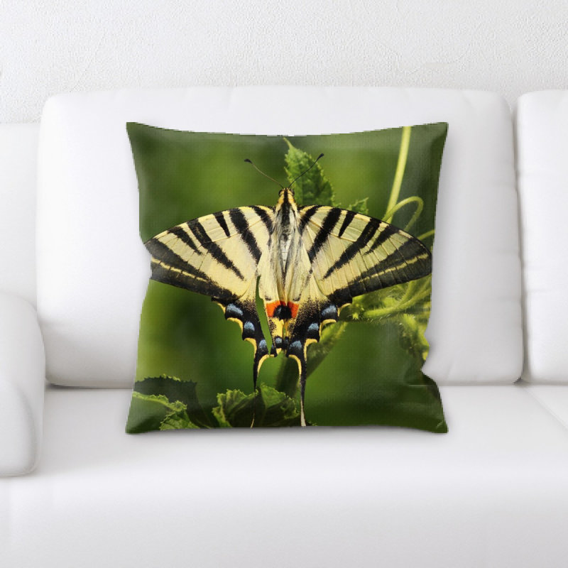 Coussin décoratif papillon
