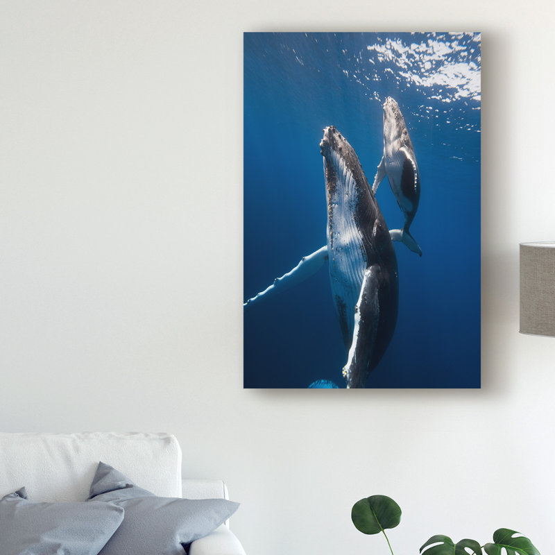 « back to the surface », reproduction de photo sur toile tendue, H 19 po x l 12 po x P 2 po