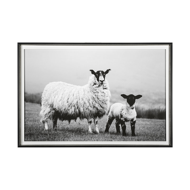 «Islay Sheep I» par Laura Marshall, reproduction d'art encadrée sous verre, Lady Sheep I