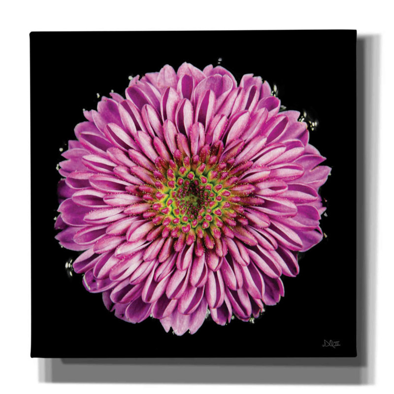 Mauve dégradé par Donnie Quillen, H 12 po x l 12 po x P 0,75 po