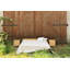 Solid Wood Bed-63363430-63363432
