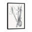 « neutral botanique ii », reproduction d’impression sur toile tendue-72452364-72452358-27698573