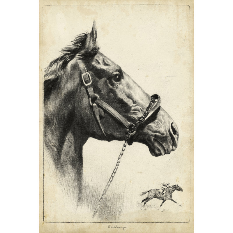 'Whirlaway' by R.H. Palenske - Wrapped Canvas Drawing Print, 122cm H x 81cm W, Black Floater Framed