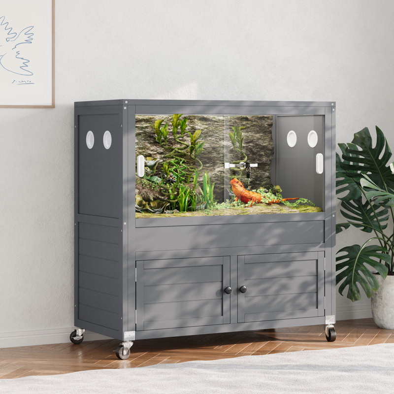 Reptile Tank
