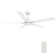 Sreeja Smart 5 - Blade LED Ceiling Fan with Remote Control Light Kit, Downrod