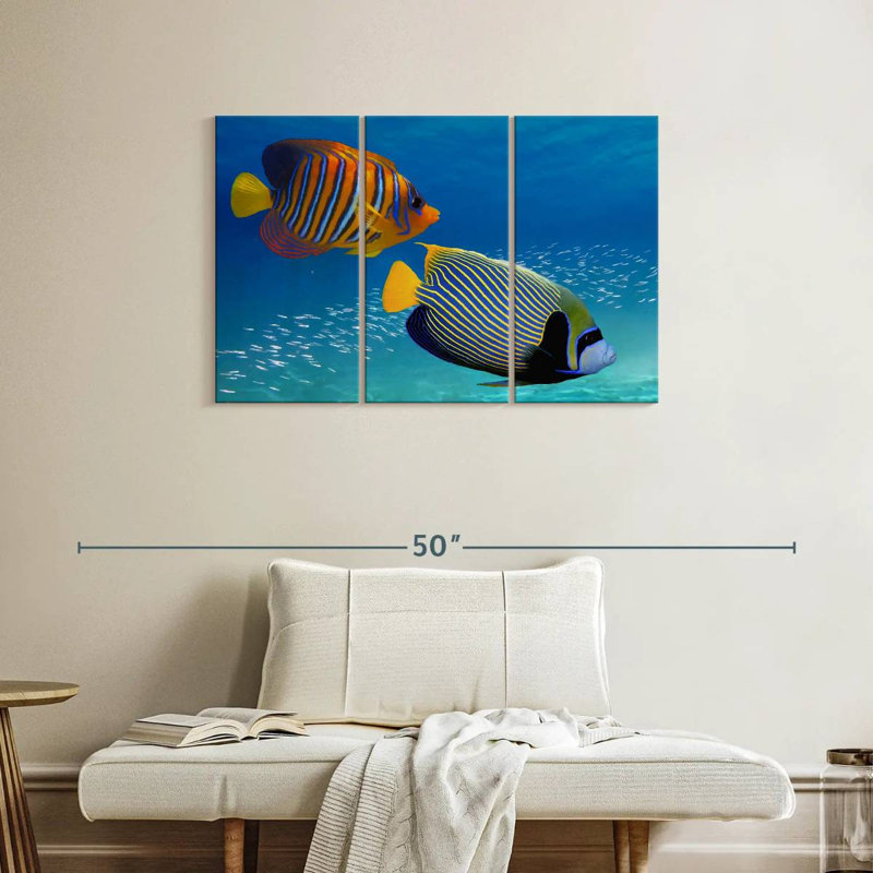 Poisson-ange exotique empereur, H 24 po x l 38 po