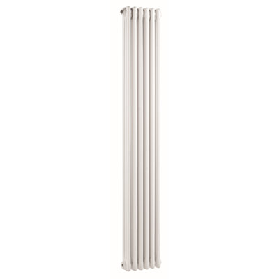 Vertical Traditional Colosseum Radiator