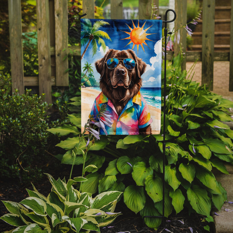 Bouvier bernois avec drapeau de jardin, Chocolat Terre-Neuve