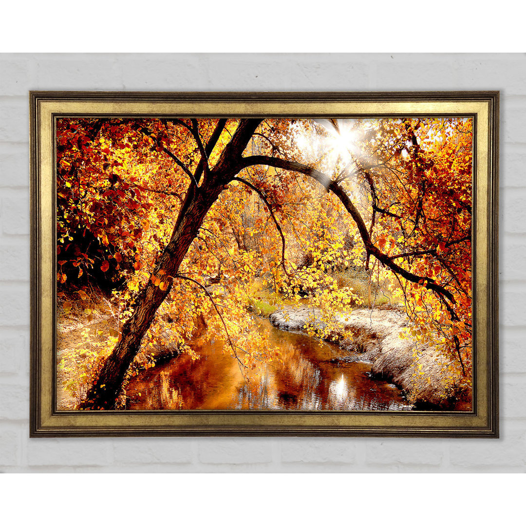 Creek In The Autumn Forest - Einzelner Bilderrahmen Kunstdrucke