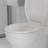 Toilet Seat Elongated Toilet Seat with Slow Close Easy Clean Easy Installation-120320095