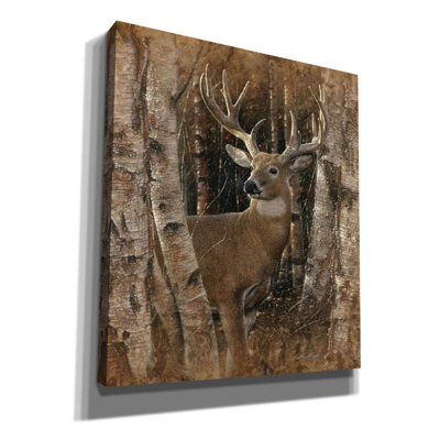 Millwood Pines 'Birchwood Buck' By Collin Bogle, Canvas Wall Art