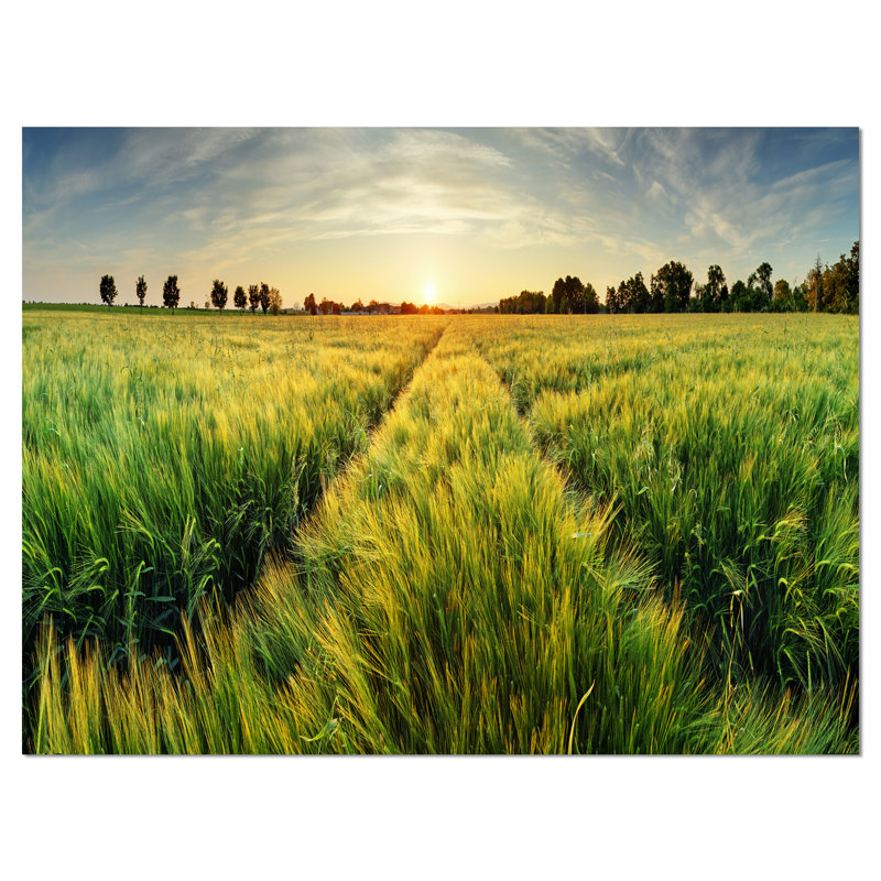 «Green Wheat Field at Sunset», reproduction de photo sur toile tendue, H 8 po x l 12 po x P 1 po