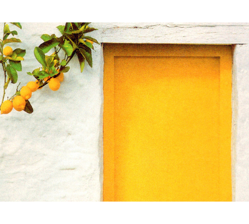 Citrons avec porte jaune IMA-M476, H 35 po x l 48 po