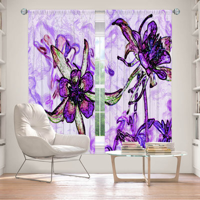 Desare Room Darkening Curtain Pair