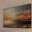 Parvez Taj - Wrapped Canvas Print-12844805