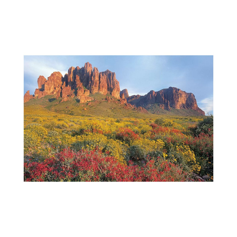 Chuparosa And Brittlebush, Superstition Mountains, Arizona by Tim Fitzharris - Wrapped Canvas Print