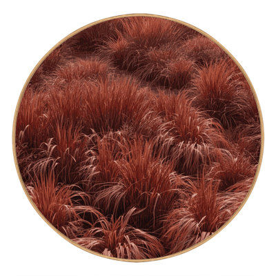 Machine Washable Botanical Brown Area Rug