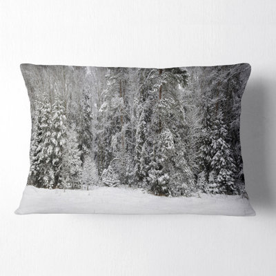 Coussin lombaire Schafer