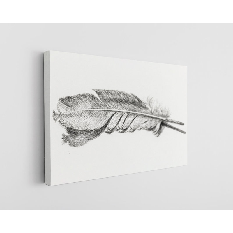 " Feather - Wrapped Canvas Print ", 30" H x 45" W x 1" D