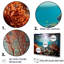 Ensemble de décorations murales corail sous l'eau-107734552-107734547