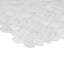 Conchella Mini Penny White 11-1/2" x 11-5/8" Natural Shell Mosaic Tile
