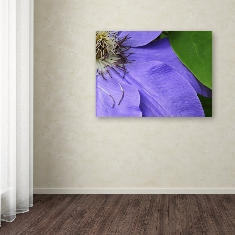 Purple Clematis Abstract Canvas Art Print