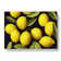 Selection Of Lemon Fruit Vol.2 - Wrapped Canvas Print