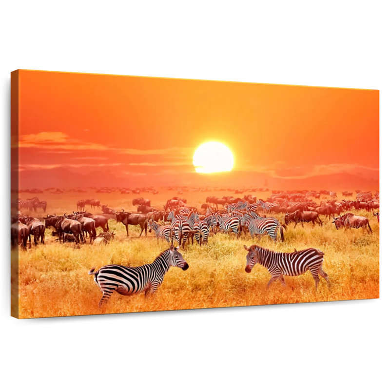 Zèbres safari Brampt Serengeti, H 20 po x l 30 po