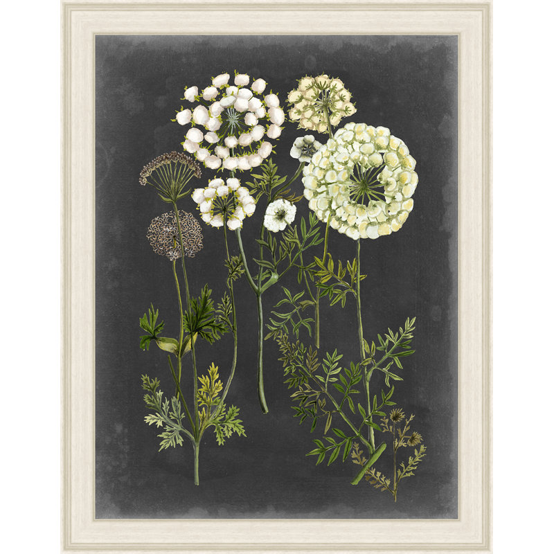 " Bookplate Floral II "