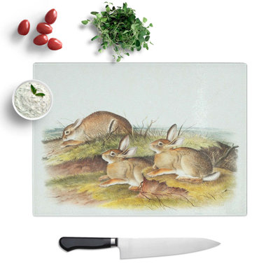 Tempered Glass Warm Wood Hare by J.W. Audubon Chopping Board