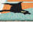 Water Resistant Kitchen Mat-20667619