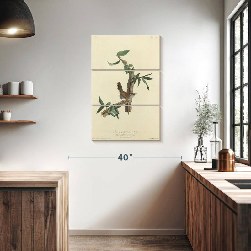 Keiri Bewick's Wren, 38" H x 24" W