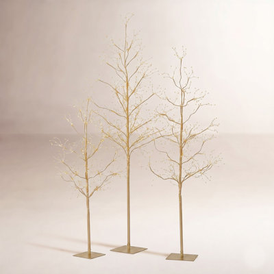 Lighted Trees & Branches