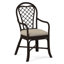 Trellis Dining Arm Chair-43362625-61940723