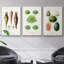 Ensemble de 3 pièces encadrées sur toile fruits et légumes VI-97795744-97795751