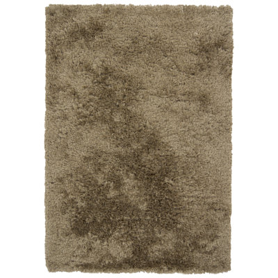 Celecot Hand Loomed Area Rug in Olive