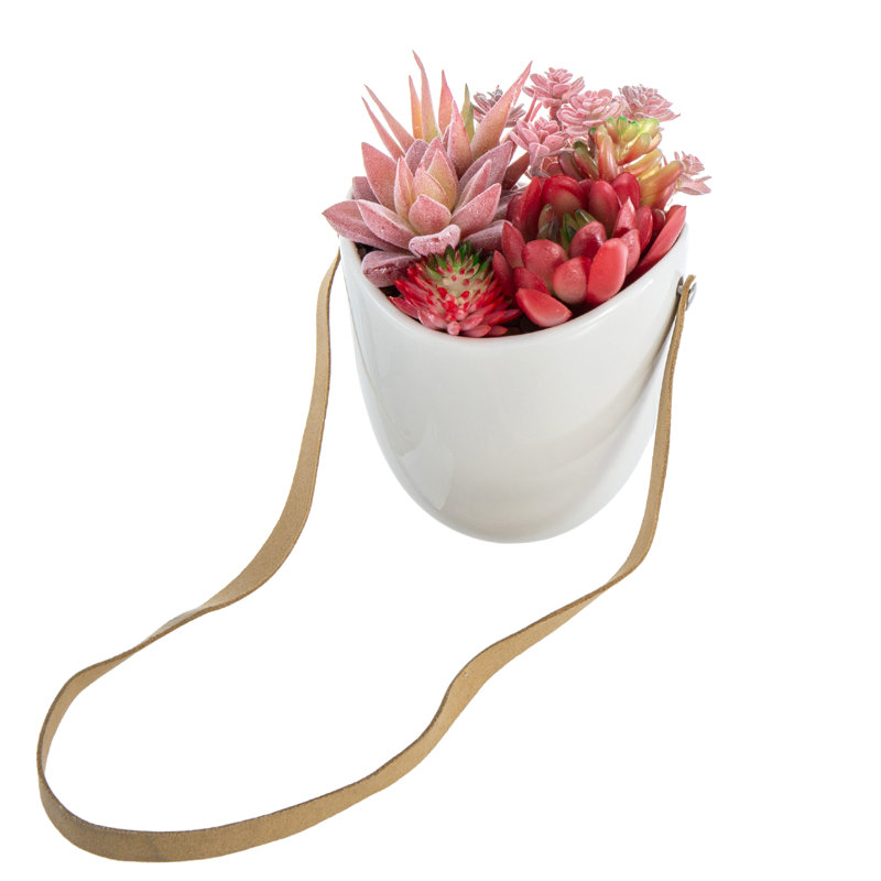 Plante grasse artificielle murale rouge rose