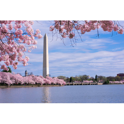 Monument aux fleurs de cerisier de Washington