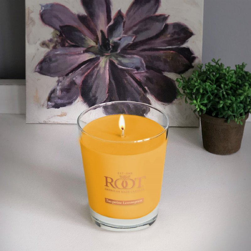 Tangerine Lemongrass Scented Jar Candle, Jar 10.5 oz.