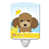 Chocolate Brown Poodle