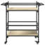 Newlon Metal Bar Cart-2120212665