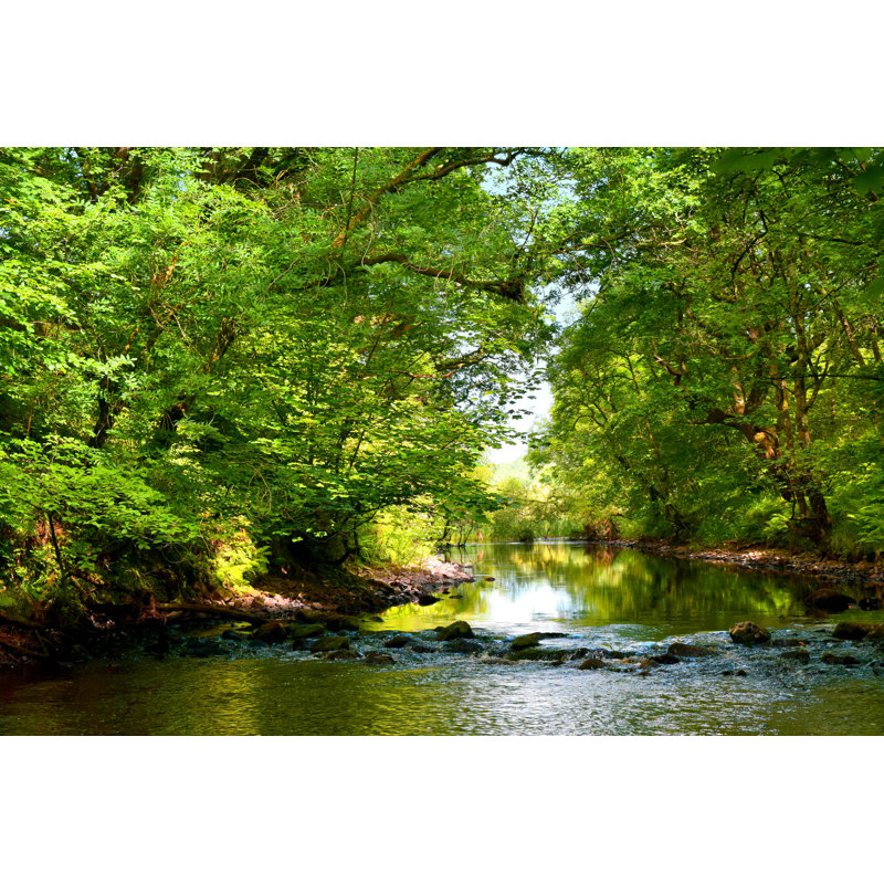 Cree Wood And River by Cloud77 - Wrapped Canvas Print, 20cm H x 30cm W x 3.8cm D